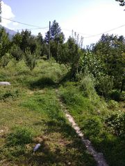 7 Bigha Agriculture land for sale in Manali,  Apple Orchards House