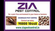 Cockroach pest control Near Me | Up To 30% Off for Restaurents | 8016